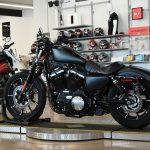 2019 Harley Davidson Iron 883