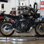 2024 Yamaha XSR700