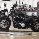 2021 Harley Davidson Iron 883