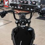 2025 Harley Davidson Street Bob
