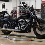2025 Harley Davidson Street Bob