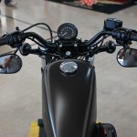 2020 Harley Davidson Sportster Forty Eight