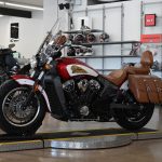 2019 Indian Scout Icon