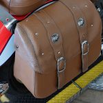 2019 Indian Scout Icon