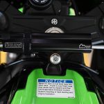 2025 Kawasaki ZX10R