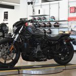 2022 Harley Davidson Nightster 975