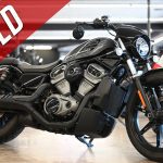 2022 Harley Davidson Nightster 975