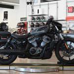 2022 Harley Davidson Nightster 975