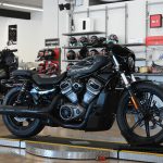 2022 Harley Davidson Nightster 975