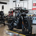 2022 Harley Davidson Nightster 975