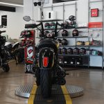 2019 Indian Scout Icon