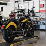 2019 Indian Scout Icon