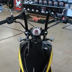 2019 Indian Scout Icon