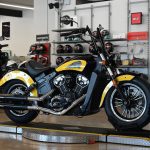 2019 Indian Scout Icon