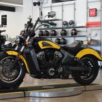 2019 Indian Scout Icon