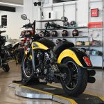 2019 Indian Scout Icon