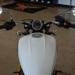 2022 Indian Scout
