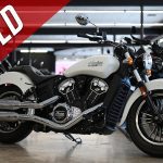 2022 Indian Scout