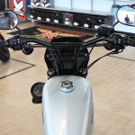 2015 Harley Davidson Iron 883