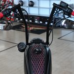 2019 Harley Davidson Iron 883