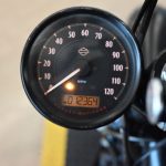 2019 Harley Davidson Iron 883