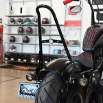 2019 Harley Davidson Iron 883