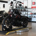 2019 Harley Davidson Iron 883