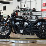 2022 Indian Scout
