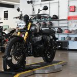 2025 Royal Enfield Int Bear 650
