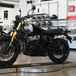 2025 Royal Enfield Int Bear 650