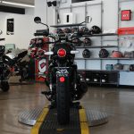 2025 Royal Enfield Int Bear 650