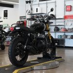 2025 Royal Enfield Int Bear 650