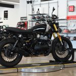 2025 Royal Enfield Int Bear 650
