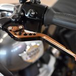 2025 Royal Enfield Int Bear 650