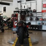 2019 Harley Davidson Iron 1200