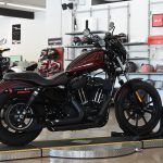 2019 Harley Davidson Iron 1200