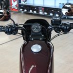 2019 Harley Davidson Iron 1200