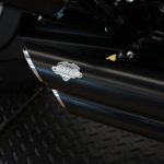 2019 Harley Davidson Iron 1200