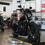 2019 Harley Davidson Iron 1200