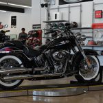 2015 Harley Davidson Softail Deluxe FLSTN