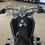 2015 Harley Davidson Softail Deluxe FLSTN