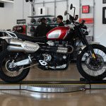 2022 Triumph Scrambler XC 1200 Gold Line