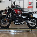 2022 Triumph Scrambler XC 1200 Gold Line