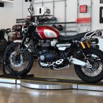 2022 Triumph Scrambler XC 1200 Gold Line