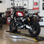 2022 Triumph Scrambler XC 1200 Gold Line