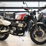 2022 Triumph Scrambler XC 1200 Gold Line