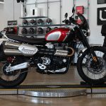 2022 Triumph Scrambler XC 1200 Gold Line
