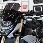 2022 BMW S1000R